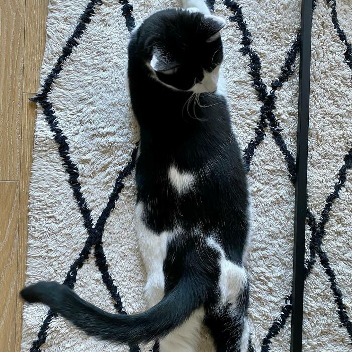 Sora’s Little Heart On His Back