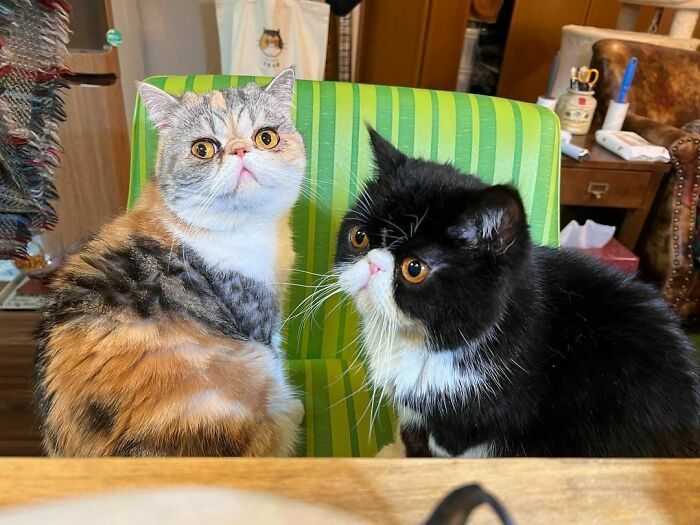 When You Tan, But There Was A Shadow On You