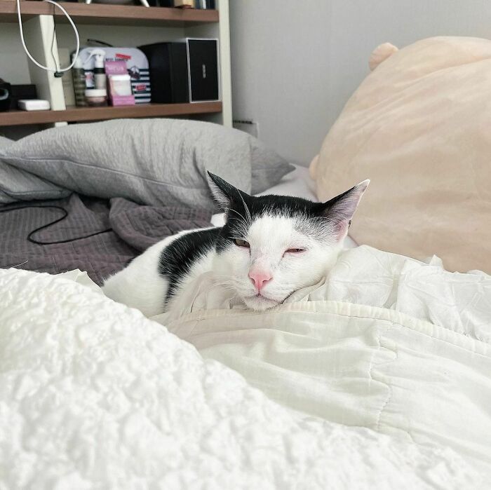 Dalle's Patterns Match Up So Well