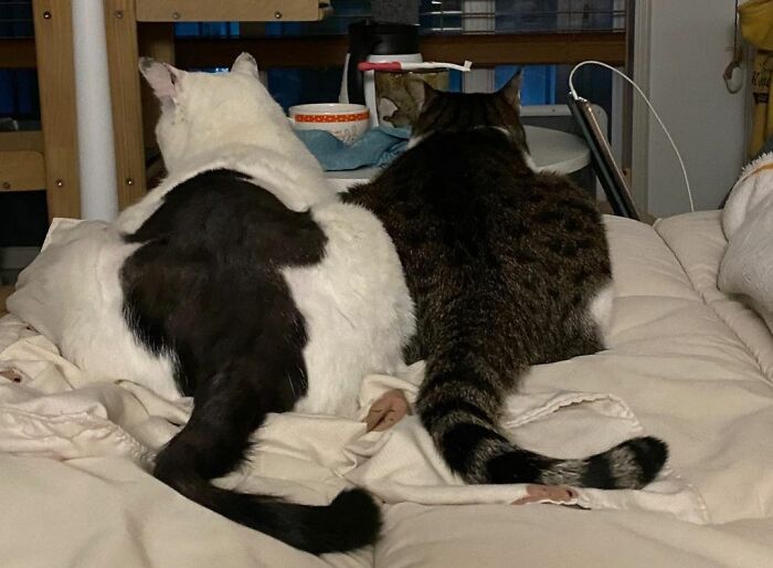 What A Friendly Look