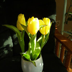 marilynsargeant avatar