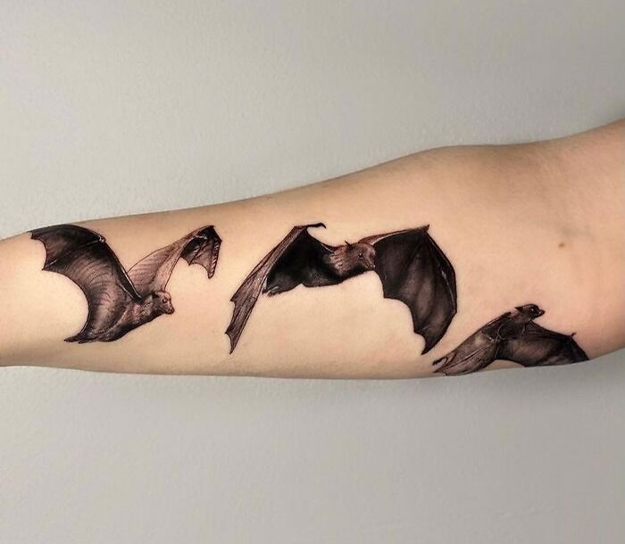 Animal tattoos of bats in flight on inner arm, showcasing creative tattoo design ideas.