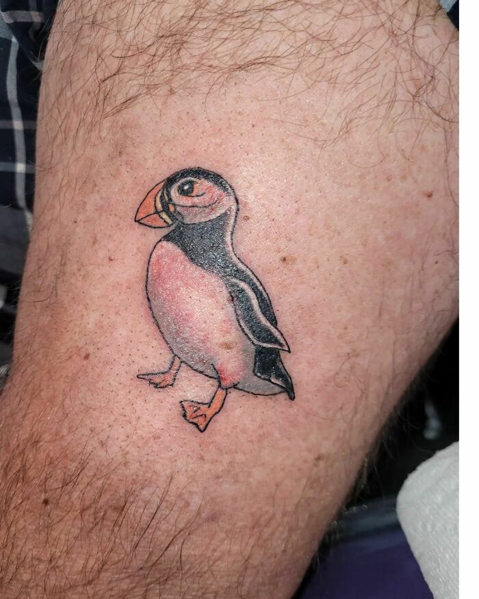 Puffin tattoo on skin, part of an inspiring collection of animal tattoos.