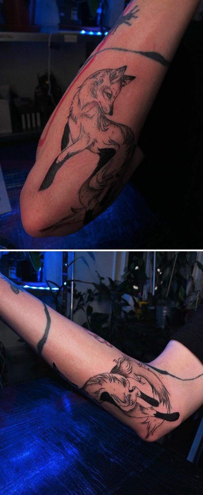 Animal tattoo of a fox on an arm, showcasing intricate design and shading.