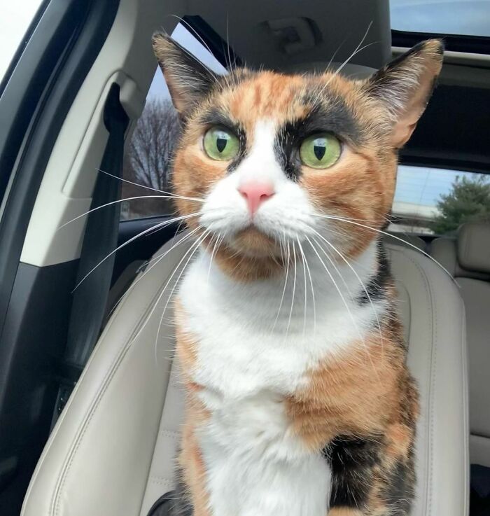 Lilly, That Is Some Avant Garde Eyeliner You Got There