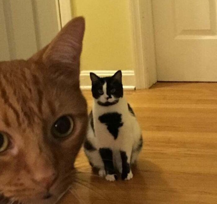 That's Africa On Her Chest