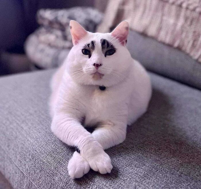 Moonwee Has Some Cool Eyeshadow