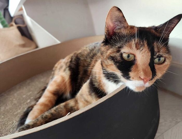 Billie Eilish Has Nothing On Him