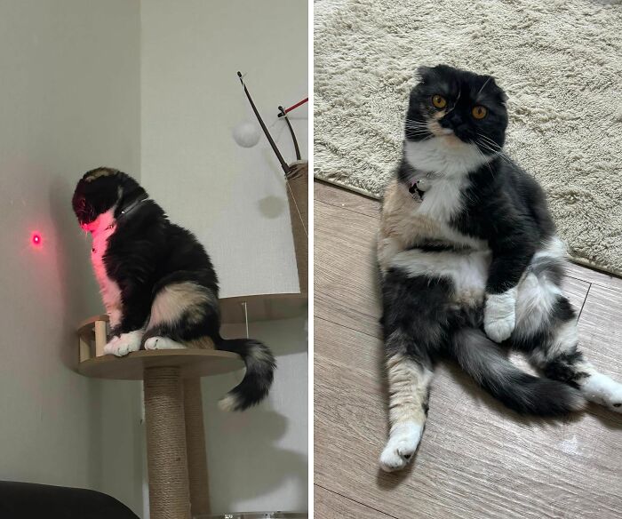 Hodu Has A One Shoulder Jacket 