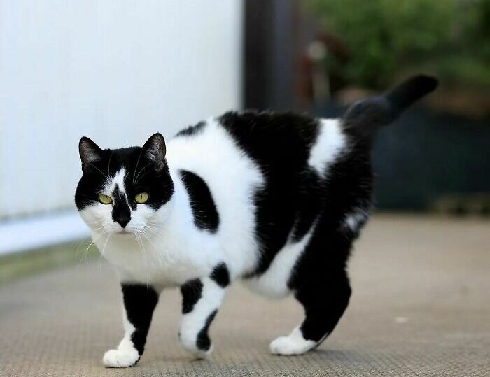 It's About Time You Left Monday!