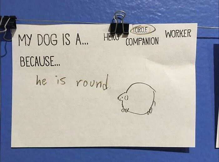 Little Kids Are The Best