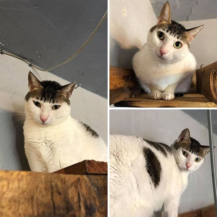 When Mom Cuts Your Hair