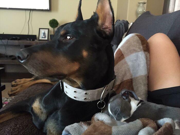 I Think He’s A Little Jealous