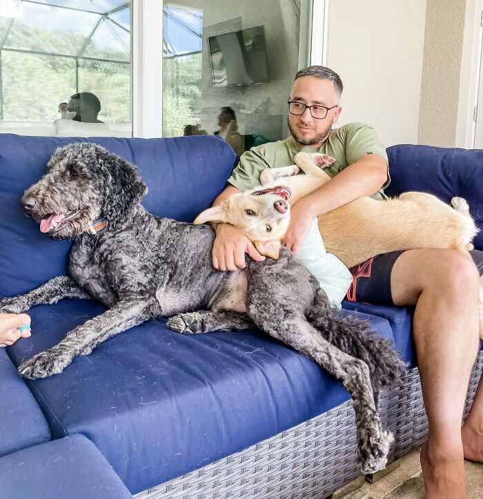 Here’s Leia At Almost A Year Old. She Was Jealous I Was Playing With Another Dog. She’s Living Her Best Life