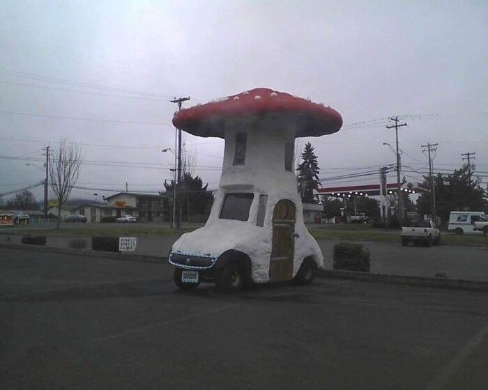 Mushroom Car