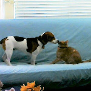 Anna Maria Getz Sahlin