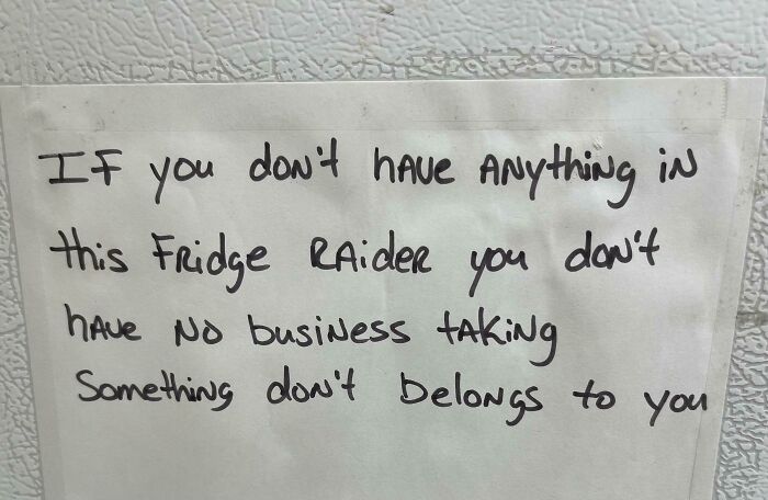 Fridge Raider