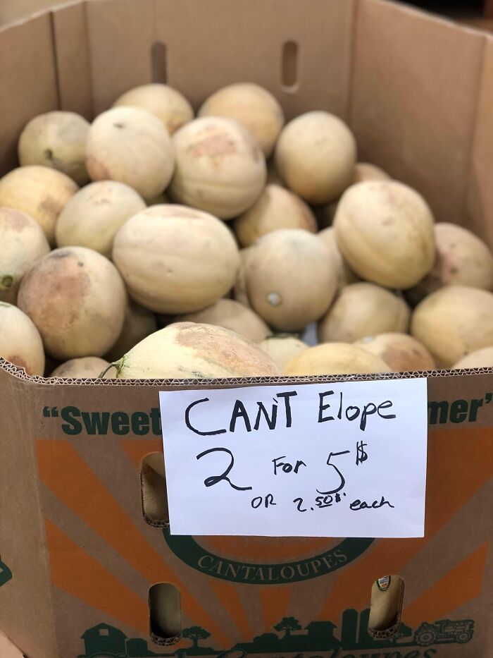 Lonely Tennessee Melons Can’t Elope