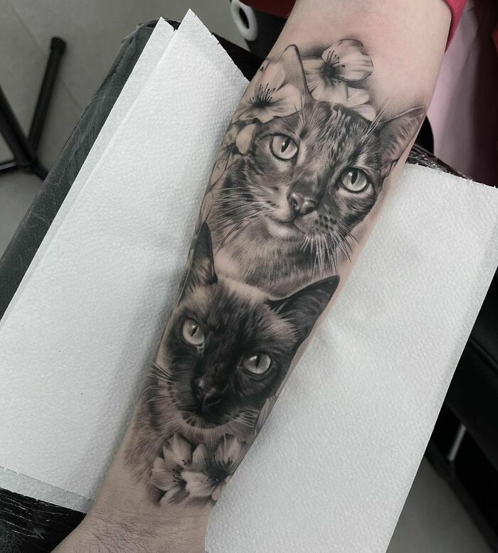 Realistic tattoo of two cats on an arm, showcasing fine details and lifelike artistry.