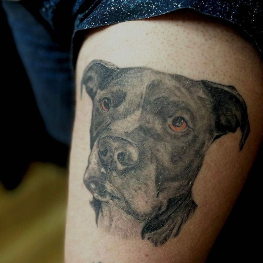 Super realistic dog portrait tattoo with intricate detailing on skin.
