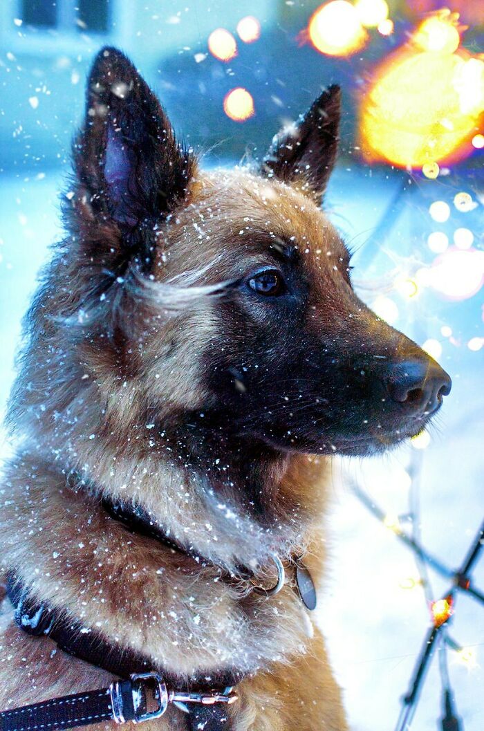 I Took A Picture Of My Friend