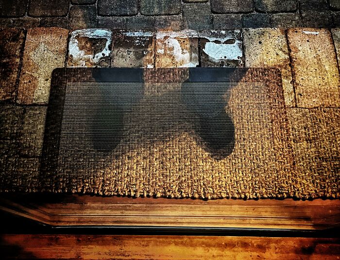 This Reflection In My Patio Door