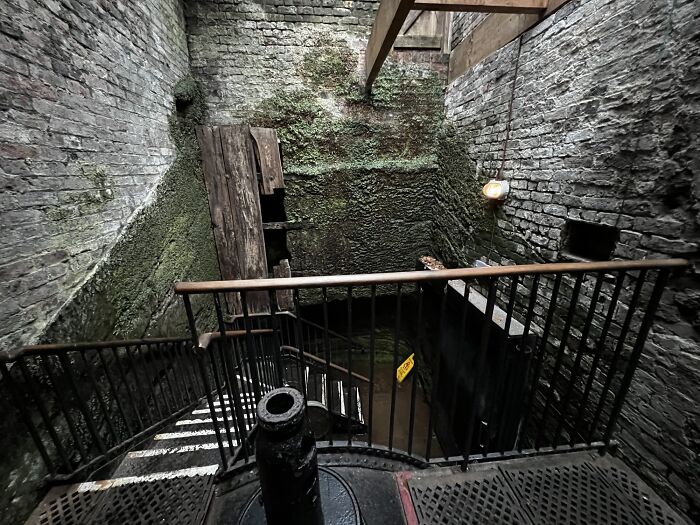 This Is Real, Not From A Video Game