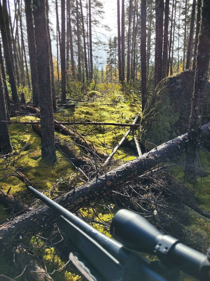 I Thought I Was In A Video Game. No Edit