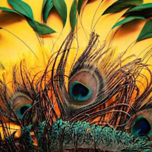 nissiawashington avatar