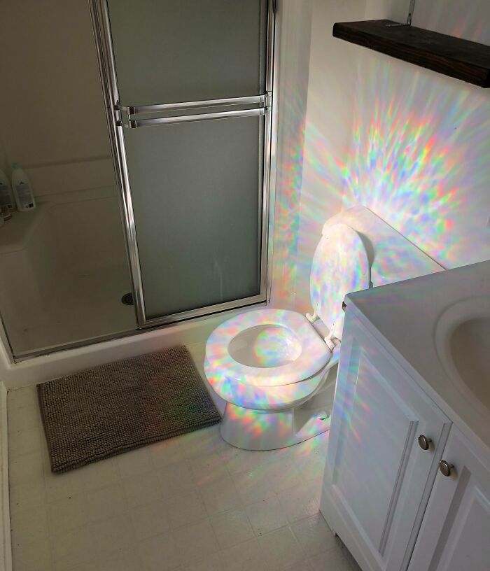 The Reflection From My Window Decal Makes My Toilet Look Like A Quest Item In A Video Game