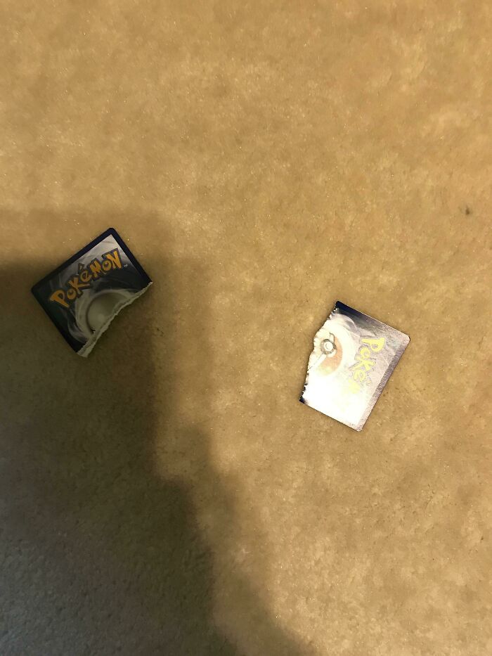 My Little Bro Totally Ripped My Expensive, Rare Card. Here's The Back Of It As Proof