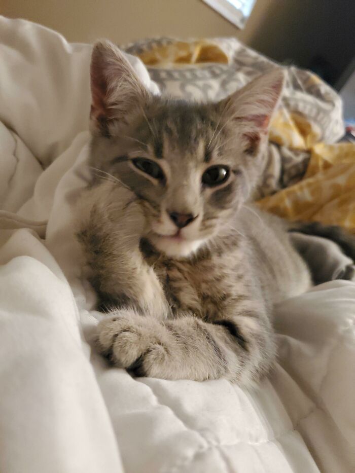 Look At My Boy Posing For The Camera