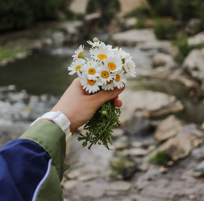  Pick Wildflowers And Make A Bouquet