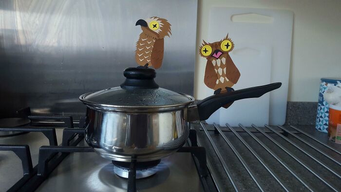 Pot-Oo Birds Pottering About My Pot Screaming For Potatoos