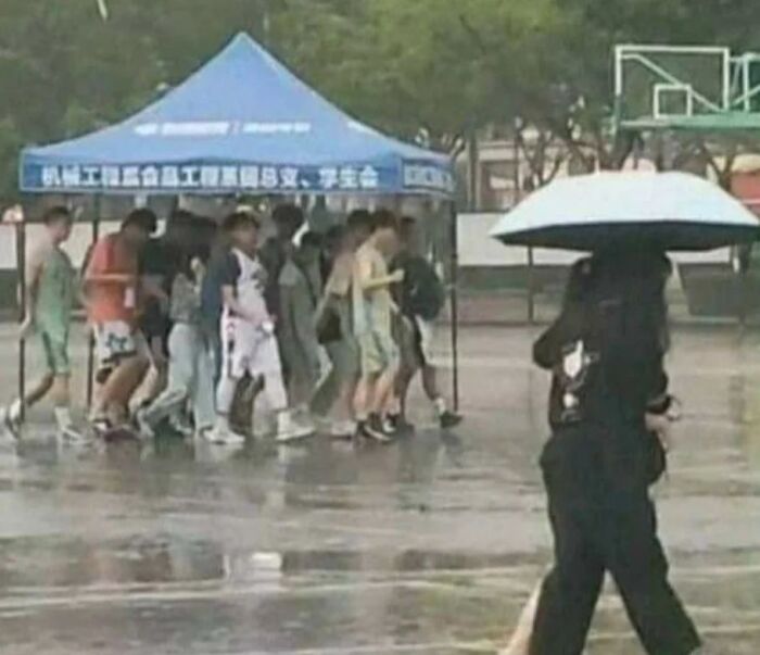 Absolutely Chaotic Memes From The “Absurd Posting” Page That May Leave You Questioning Things (50 Posts)