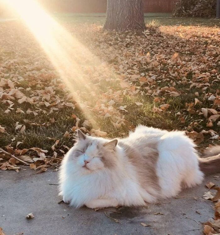 I Think He Has A Quest. Do You Approach Him?