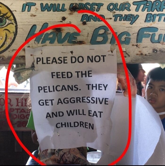 Sign about aggressive pelicans, highlighted by a red circle, warning against feeding them.