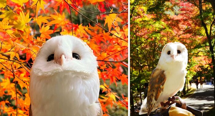 Sunday Was A Refreshing Autumn Day