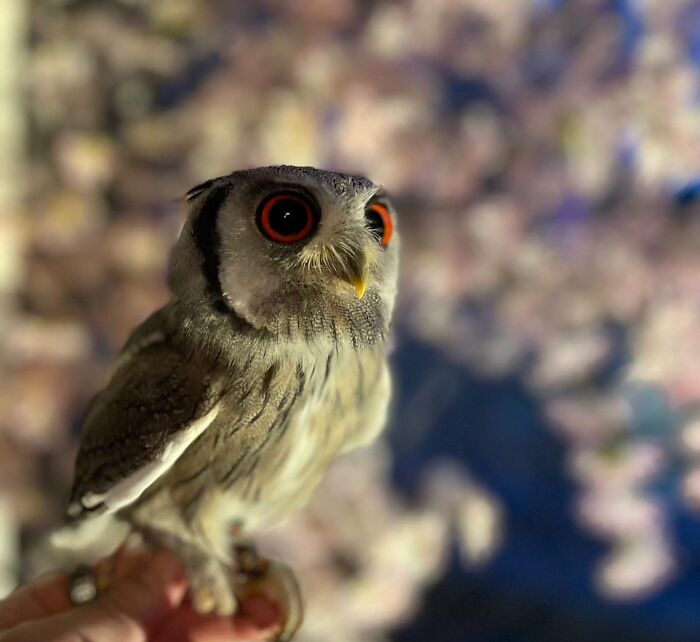 Depending On How I Feel, I Might Be Going Out For The First Time In A While