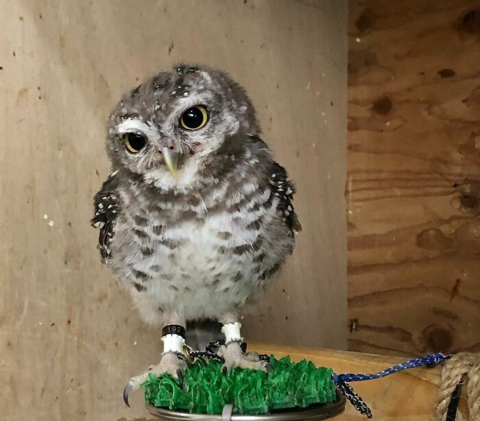 Marin-Chan Relaxing Time After Dinner