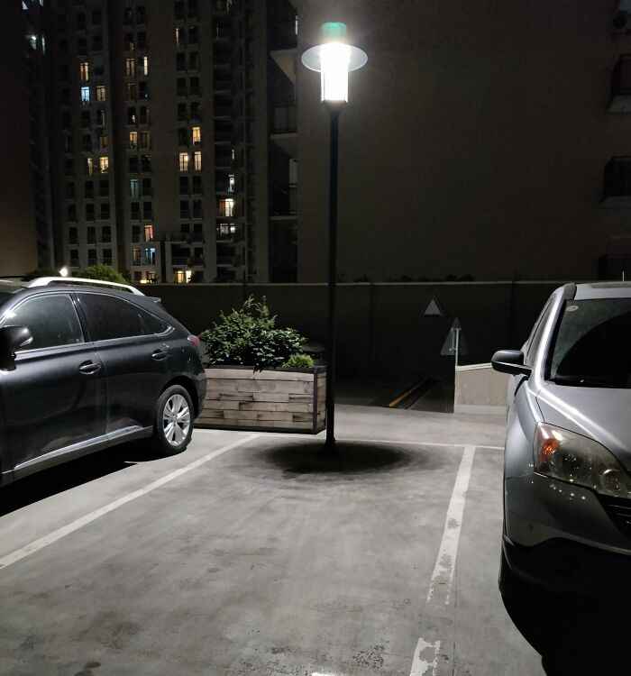 They Really Had To Put The Lamp Post There?