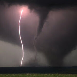 130639-shadenrinehart avatar