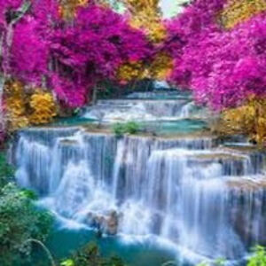 lyndseychessmore avatar