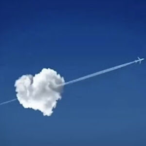 isabellacampbell avatar