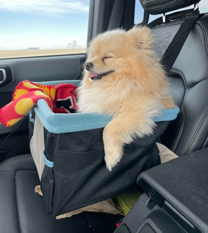 Vinny. My Road Trip Partner