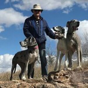 ken_noesgaard avatar