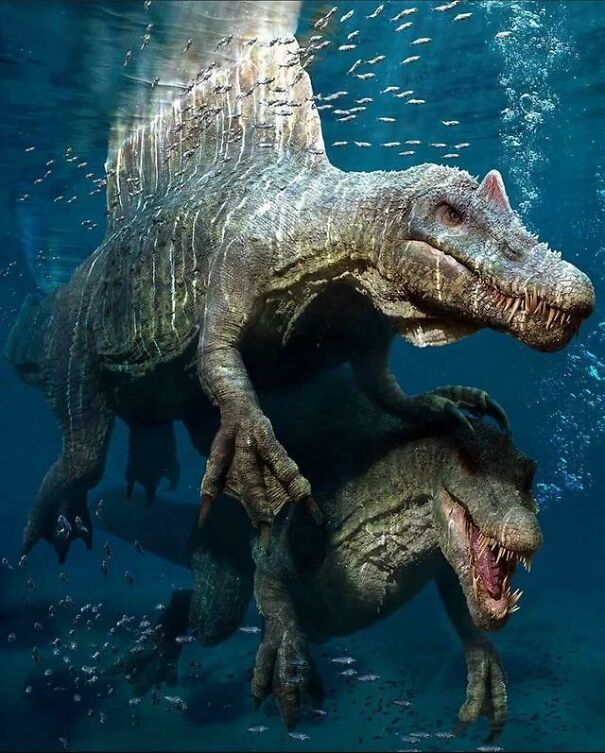 Spinosaurus Spinosaurus