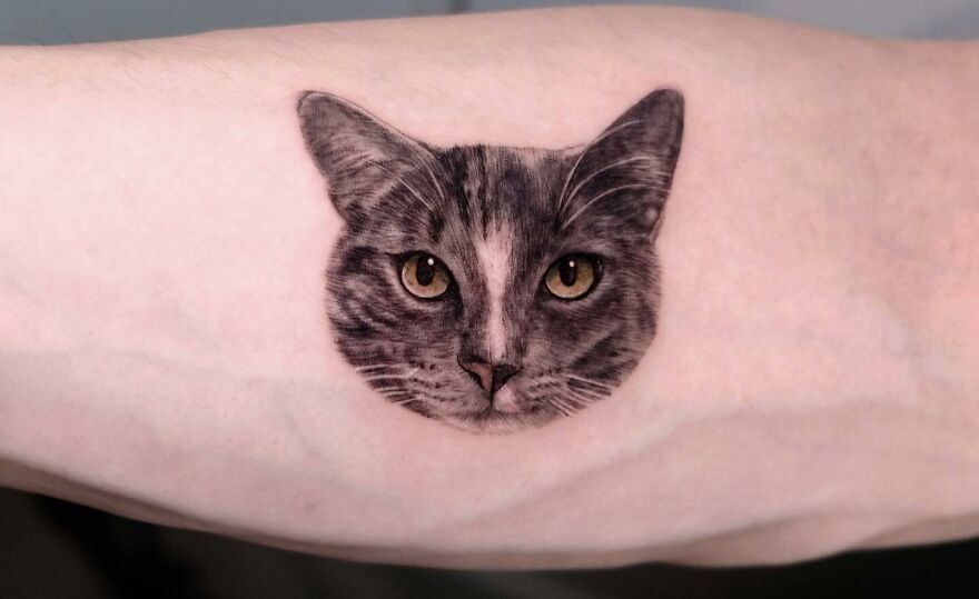 Realistic cat face tattoo with detailed features on a forearm.