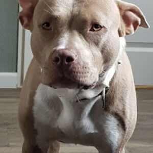 gracethompson_2 avatar