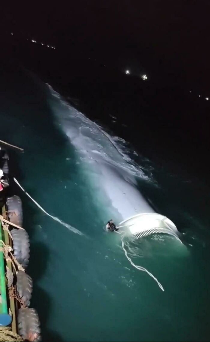 Some Horror Material